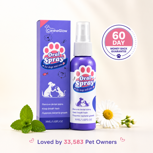 DENTASHIELD™ - Dogs/Cats